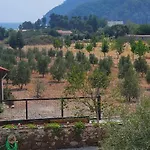 Olive Tree Aparthotel Mugla