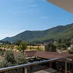 Olive Tree 3*