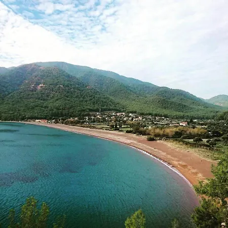 Aparthotel Olive Tree 4*