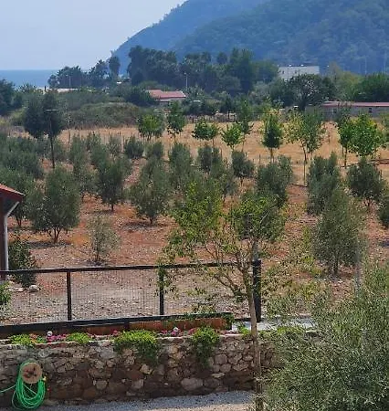 Olive Tree Aparthotel Mugla