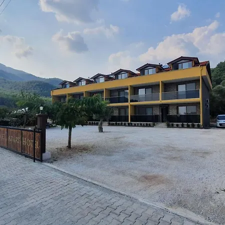 Olive Tree Mugla