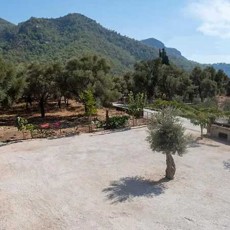 Olive Tree Aparthotel Mugla