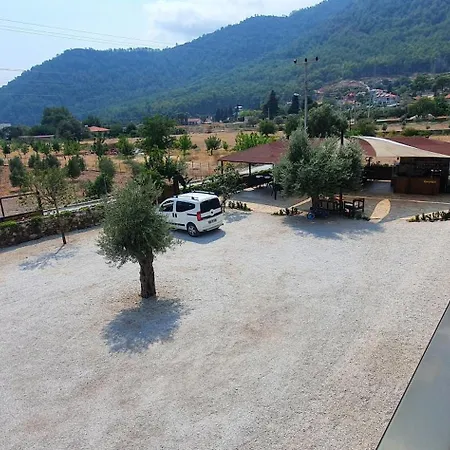 Olive Tree Aparthotel Mugla