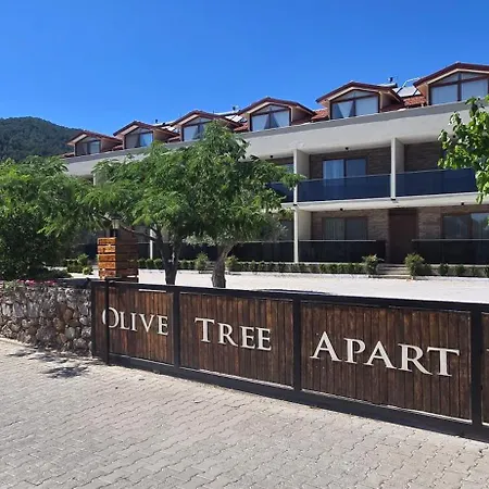 Olive Tree * 穆拉