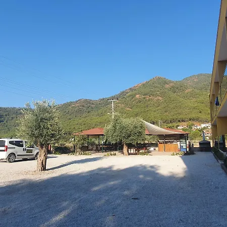 Olive Tree Апарт-отель 3*