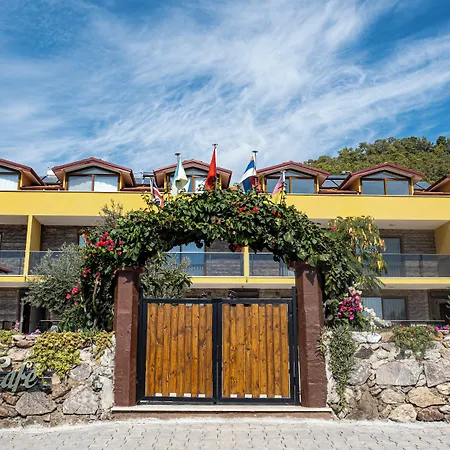Olive Tree Mugla