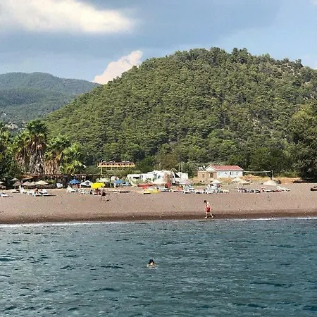 Olive Tree 아파트호텔 4*