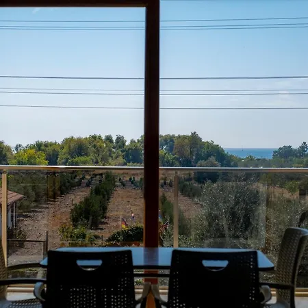 Aparthotel Olive Tree Muğla