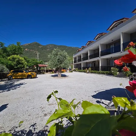 Olive Tree Aparthotel