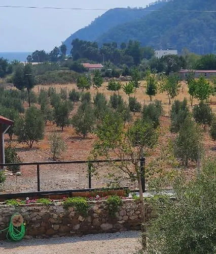 Olive Tree 아파트호텔 무글라