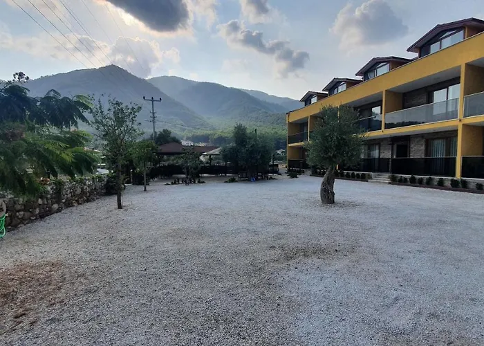 Olive Tree 무글라