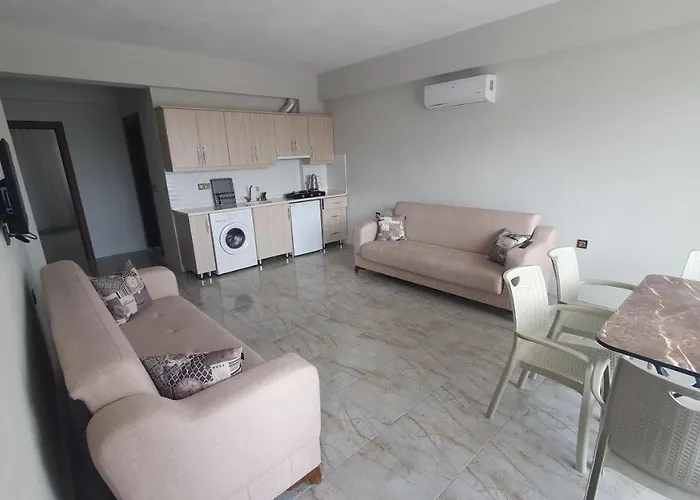 Olive Tree 3* 무글라