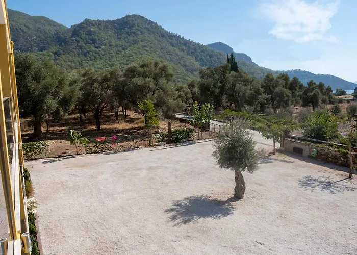 Olive Tree 아파트호텔 무글라