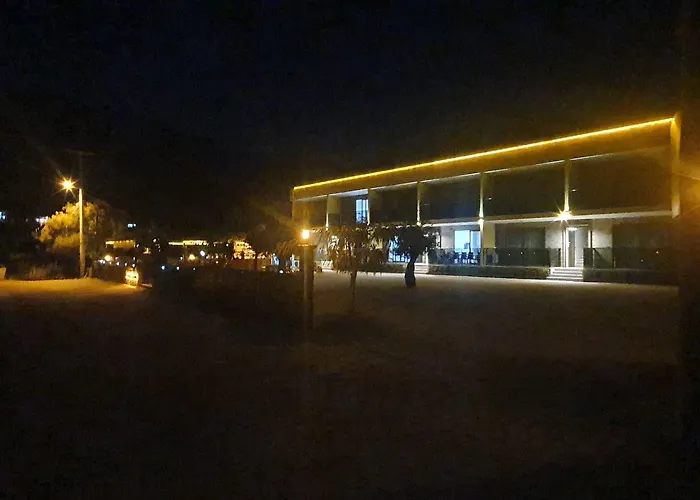 Olive Tree 3* 무글라