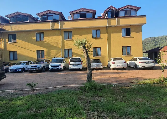 아파트호텔 Olive Tree 무글라