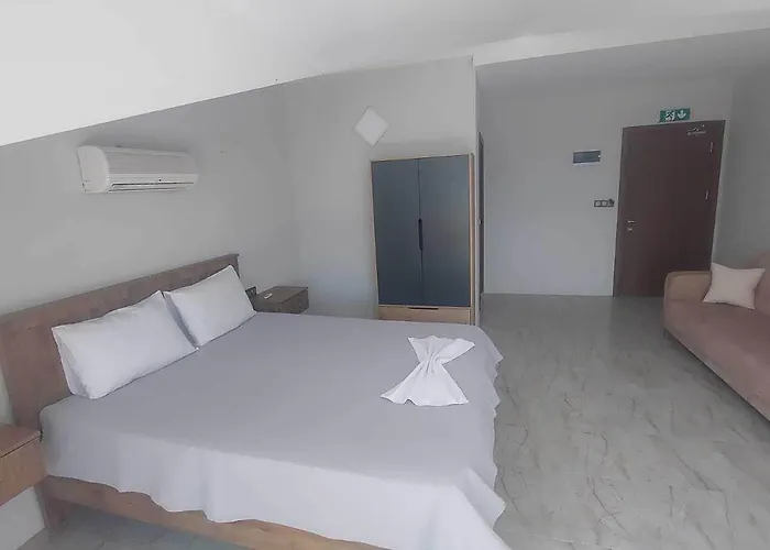 Olive Tree 무글라